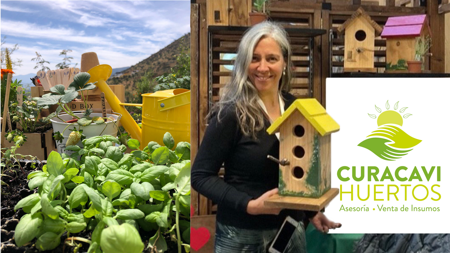 SESIÓN 1.1 /CULTÍVATE Programa de bienestar y salud a través del HUERTO