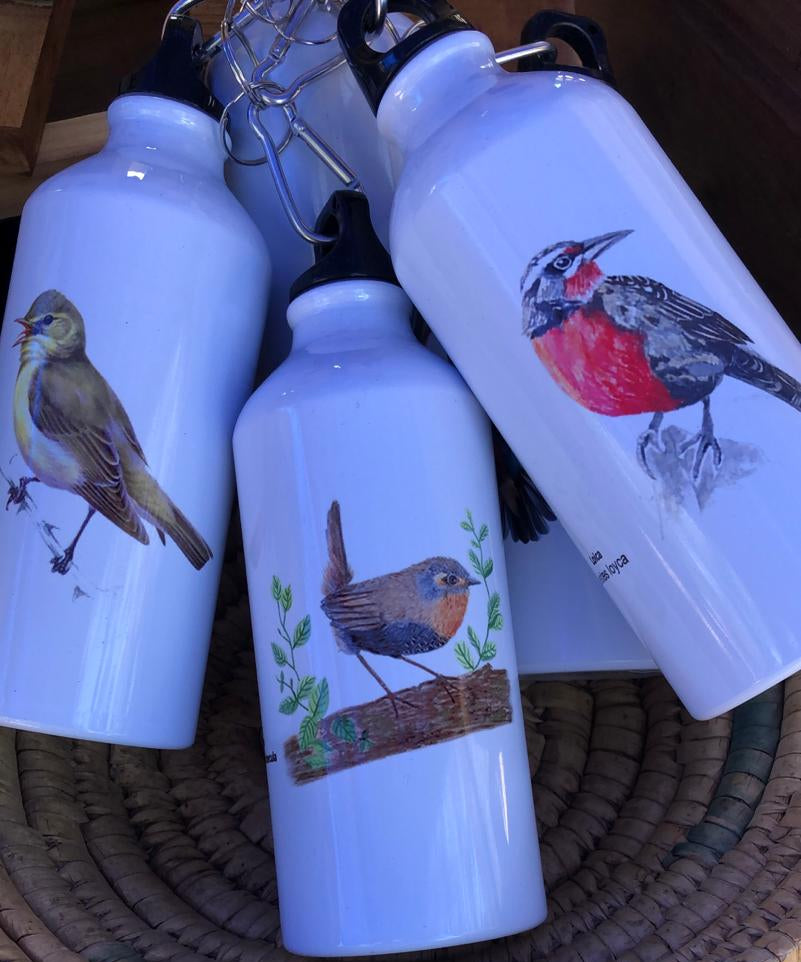 Botellas de agua metálicas con diseño de aves nativas 500ml