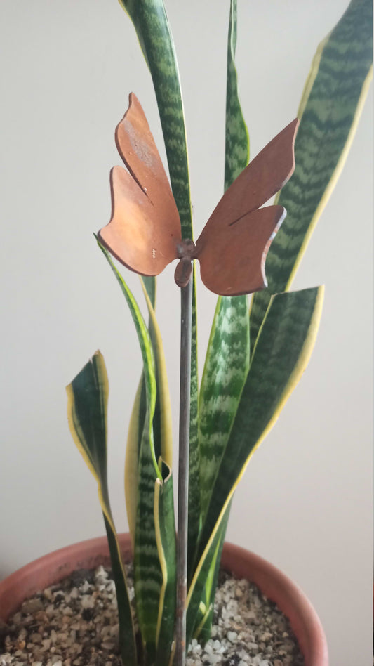 Tutor de fierro, mariposa