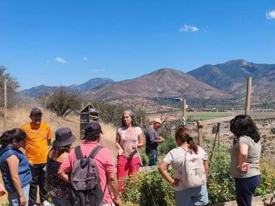 Taller: "Liderazgo y colaboración a través del huerto"