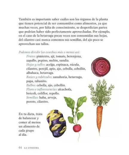 Cultivarnos: enseñanzas de un huerto.