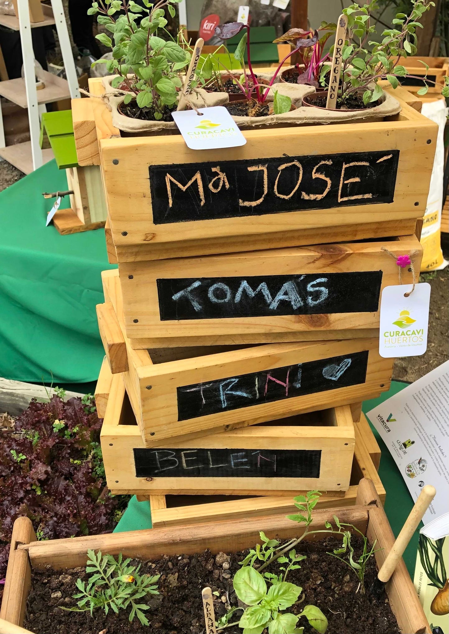 Mini huertos para niños