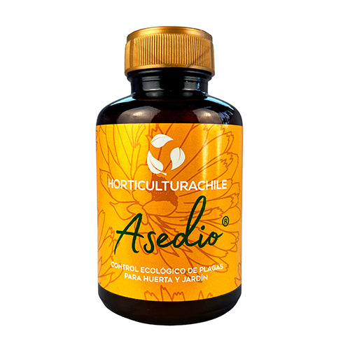 Asedio 280cc