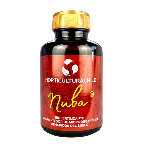 Nuba 280cc