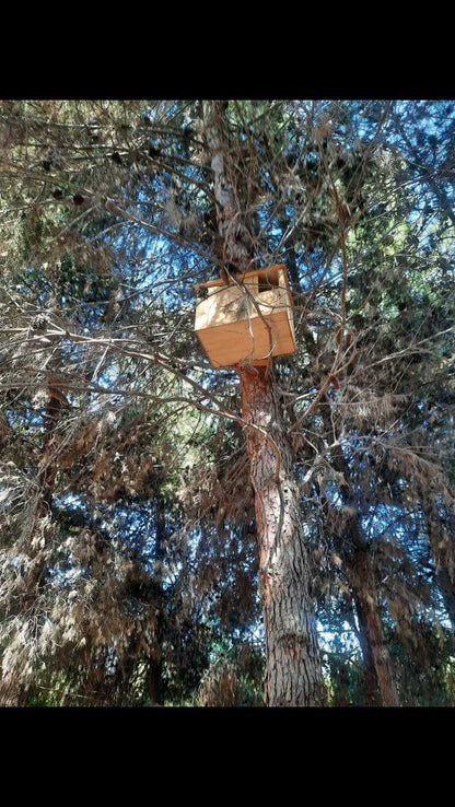 Caja nido para lechuzas y búhos instalada en árbol nativo alto
