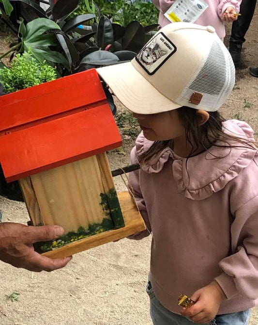 Casas refugio para aves pintadas a mano incluso en los costados