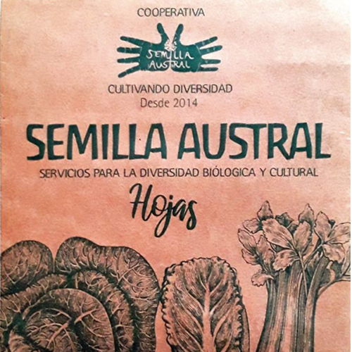 Rúcula